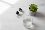 Quiet Social transparent lifestyle marbre plante